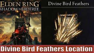 Divine Bird Feathers Location (Holy Incantations) Elden Ring Shadow of the Erdtree