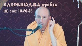 Адхокшаджа пр. Хабаровск ШБ стих 10.20.45