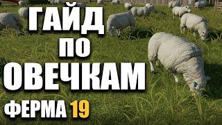 ГАЙД по ОВЕЧКАМ Farming Simulator 19 | РАЗВОДИМ ОВЕЦ В Ферме 19