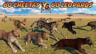 60 Cheetas VS 60 Leopards Animals Race in Planet Zoo included African Cheetah & African Leopard