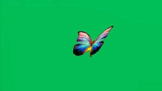 Green Screen Butterfly Flying Animation | 4K | Global Kreators