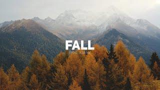 (FREE) Country Folk Type Beat - "Fall" - Zach Bryan x Shaboozey Type Beat Country Instrumental 2024