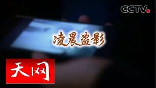 《天网》 凌晨盗影 | CCTV社会与法