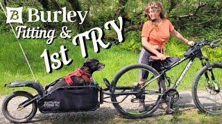 First Time Cycling with a Trailer | Fitting the Burley Ballz for COHO XC