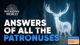 Answers of All the Patronuses || Wizarding World || Hogwarts Legacy - 2022