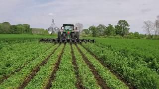 Pluribus V Strip TIll in Heavy Cover Crop