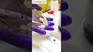 Lactophenol cotton Blue Staining Procedure #hereditybioacademy #microbiology