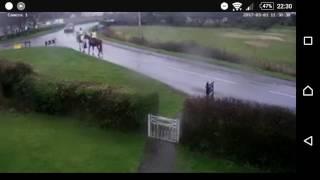 Horse and rider gets hit by car