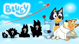 Bluey Heeler GROWING UP EVOLUTION | Stars Wow