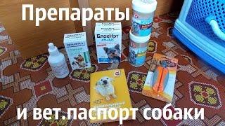 Препараты и ветеринарный паспорт собаки.