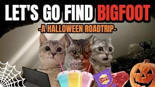 Cat MEMES: LET'S GO FIND BIGFOOT!