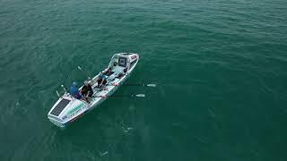 The Oarsome Foursome rowing team last training session.