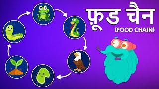 फ़ूड चैन | खाद्य श्रृंखला | What Is Food Chain In Hindi | Dr.Binocs Show | Binocs Ki Duniya