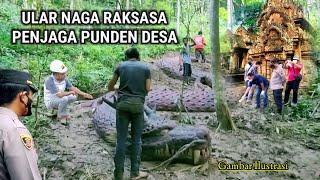 Viral !! Warga Melihat Langsung Kemunculan Ular Naga Raksasa Penjaga Punden Desa