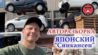 Авторазборка. Японский «Синкансен». Ночной клуб.