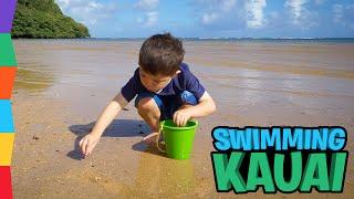 Swimming Kauai: What to Do in Kauai, Hawaii with Kids: Family Fun Pack Adventure by ToyRap