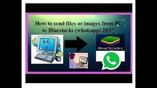 How to Import/send Files from PC to Bluestacks PC | whatsapp