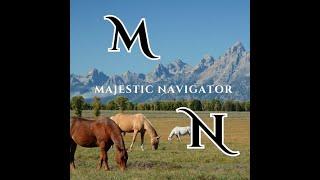 COWBOY COUNTRY LAND OF CRAZY HORSE AND THE BUFFALO. HERE'S TO YOU DAD!   Majestic Navigator