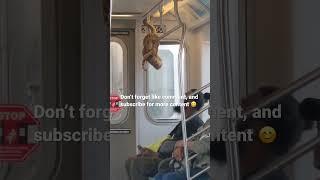 Snakes hanging in train NYC#youtube #viral #mta #nyc #newyork #newyorkcity #manhattan #snakes