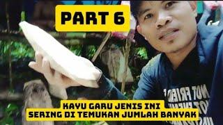 PART 6  JANGAN SALAH INI ADALAH KAYU GARU .SERING KITA TEMUKAN DALAM JUMLAH BANYAK