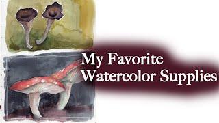 My favorite watercolor supplies, travel kit, palette tour