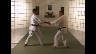 Aikido Temel Teknikleri - Mustafa Aygün