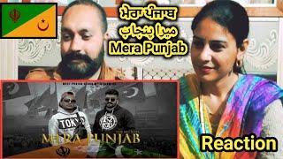 MERA PUNJAB BY PAKISTANI SINGERS | DJ RABI FT LALA LYALLPURIA | BHAAGI PUNJAB #KISAAN​FARMERSUPPORT