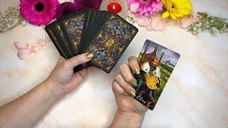 The Elemental Wisdom TAROT | UNBOXING