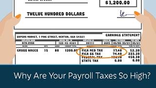 Why Are Your Payroll Taxes So High?