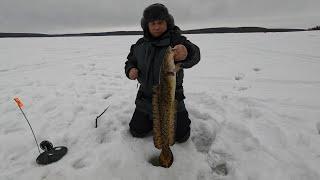 ЗИМНЯЯ РЫБАЛКА В МАРТЕ / WINTER FISHING IN MARCH