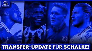 Transfer-Update Schalke: So steht es um Karius, Fährmann, Ba, Lasme, Mohr & mehr!