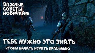 Все самое важное, что стоит знать в самом начале | TESO для новичков