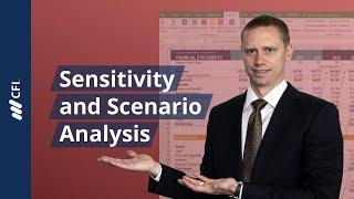 Sensitivity and Scenario Analysis Model
