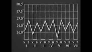 Температура Тела и Терморегуляция. Научфильм. (учебное видео СССР)