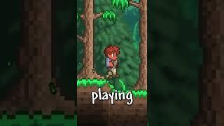 best mode to play in Terraria