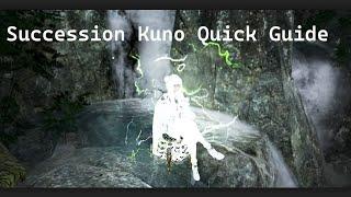 Succession Kunoichi Quick Start PvP Guide