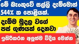 දැම්ම මුදල වගේ පස් ගුණ‍යක් දෙන බැංකුවක් |  මෙහෙම පොළියක් ජීවිතේට එන්නෑ @thebankchannel123