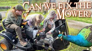 Can the Ride-on Mower be Fixed After 2 Years in a Shed? - Scottish Homestead Life - Slow Living