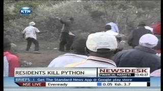 Drama unfolded in Narok as residents fight three meter long python