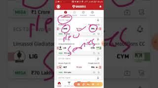 PNL vs AMD Dream11 Team