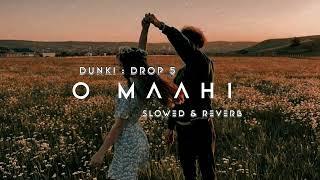 Dunki Drop 5: O Maahi (Slowed + Reverb) | Arijit Singh | Shah Rukh Khan | Lo-fi Song | Lyrics