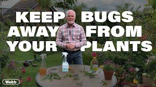 How to Keep Bugs Away From Plants - Gardening Advice from Adam Woolcott