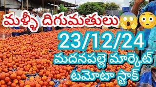 23-12-24 Madanapalle Tomato Market price Today || Today Tomato Market Rate in Madanapalle #today