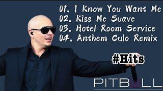 Pitbull Hit Songs || Album - Collection || Cloudy Vibez