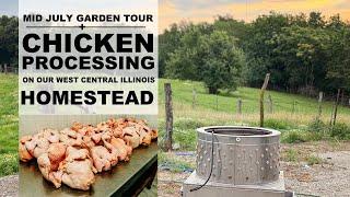 Mid July 2024 Garden Tour + Cornish Cross Meat Chicken Processing Day on Our Homestead