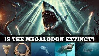 Is The Megalodon Truly Extinct?