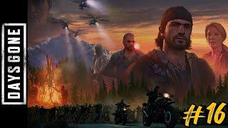 Days Gone. Часть 16: Мне нужна помощь // Засадный лагерь в Бирли-Лейк // Зараженная зона в Кэмп-Роуг