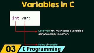 Introduction to Variables