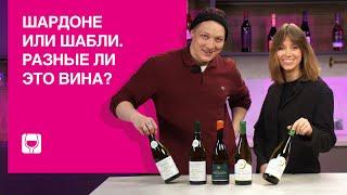 Обзор и дегустация вина Шабли (Chablis) – особое Шардоне из Бургундии