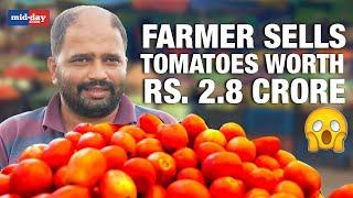 Tomato Price Rise: Maharashtra Farmer Earns Over Rs. 2.8 Crore By Selling Tomatoes